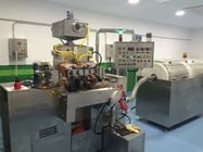 Φαρμακευτική Softgel μηχανή ενθυλάκωσης Ε&amp;Α με τη μικρή ικανότητα S403